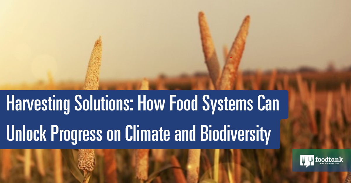 How Meals Strategies Can Unlock Progress on Native climate and Biodiversity – Meals Tank