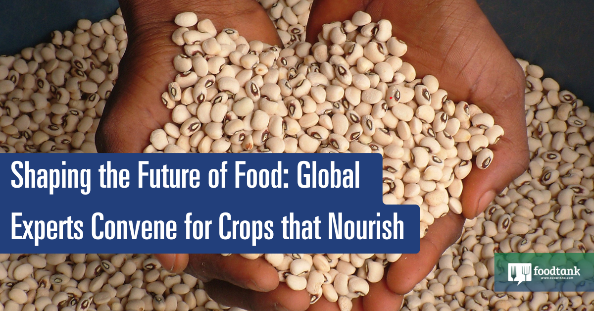 Worldwide Specialists Convene for Crops that Nourish – Meals Tank