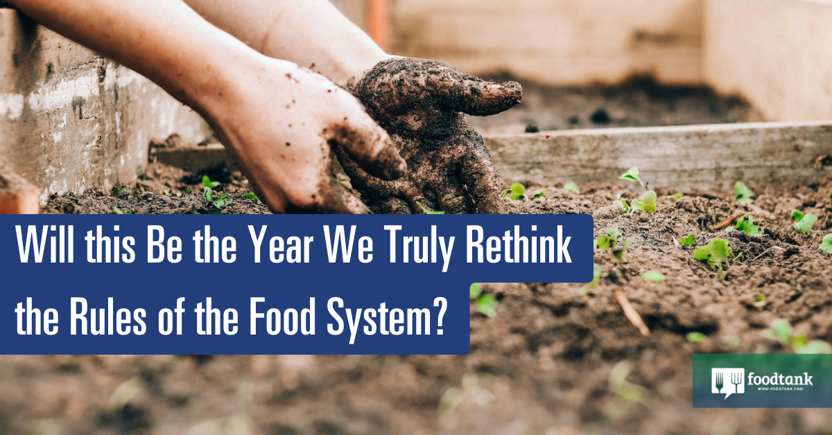 Will this Be the Yr We Actually Rethink the Tips of the Meals System? – Meals Tank