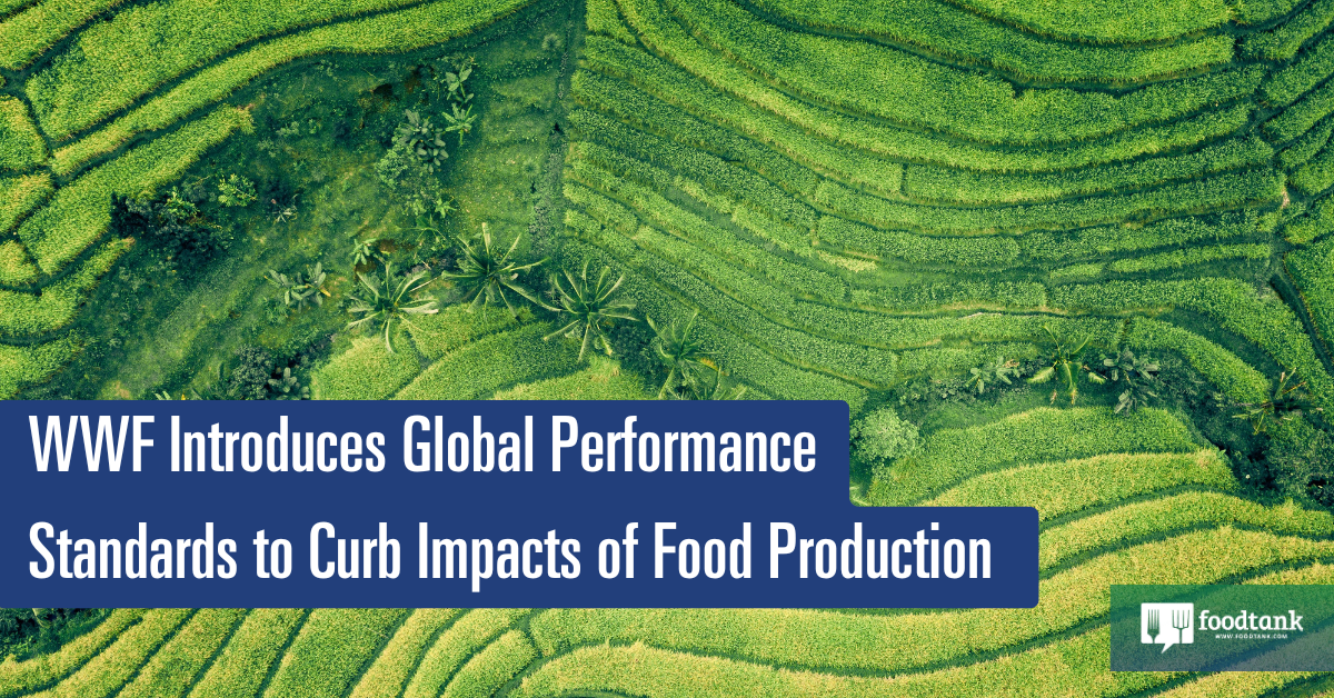 WWF Introduces Worldwide Effectivity Necessities to Curb Environmental Impacts of Meals Manufacturing – Meals Tank