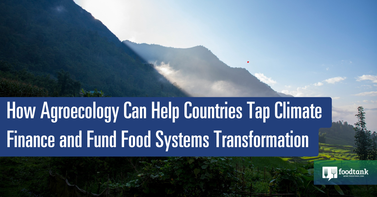 How Agroecology Can Help Worldwide places Faucet Native climate Finance and Fund Meals Strategies Transformation – Meals Tank