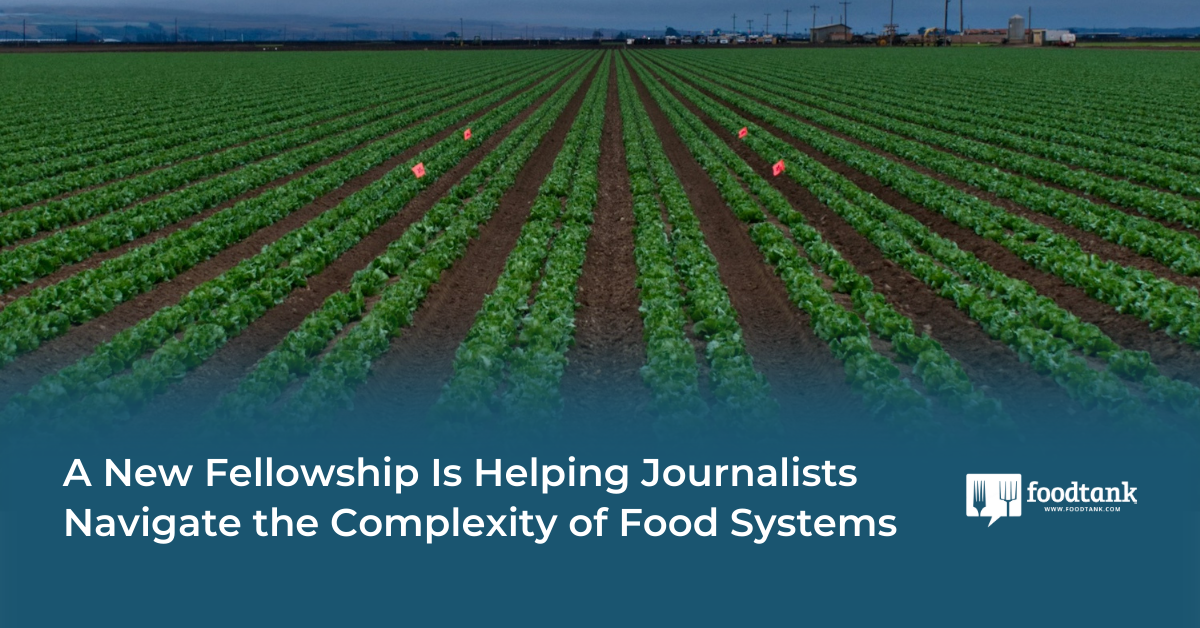 A New Fellowship Is Serving to Journalists Navigate the Complexity of Meals Methods – Meals Tank